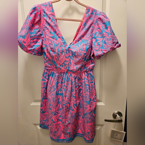 NWOT Lilly Pulitzer Suzie Puffed Sleeve Dress - Picture 2 of 6